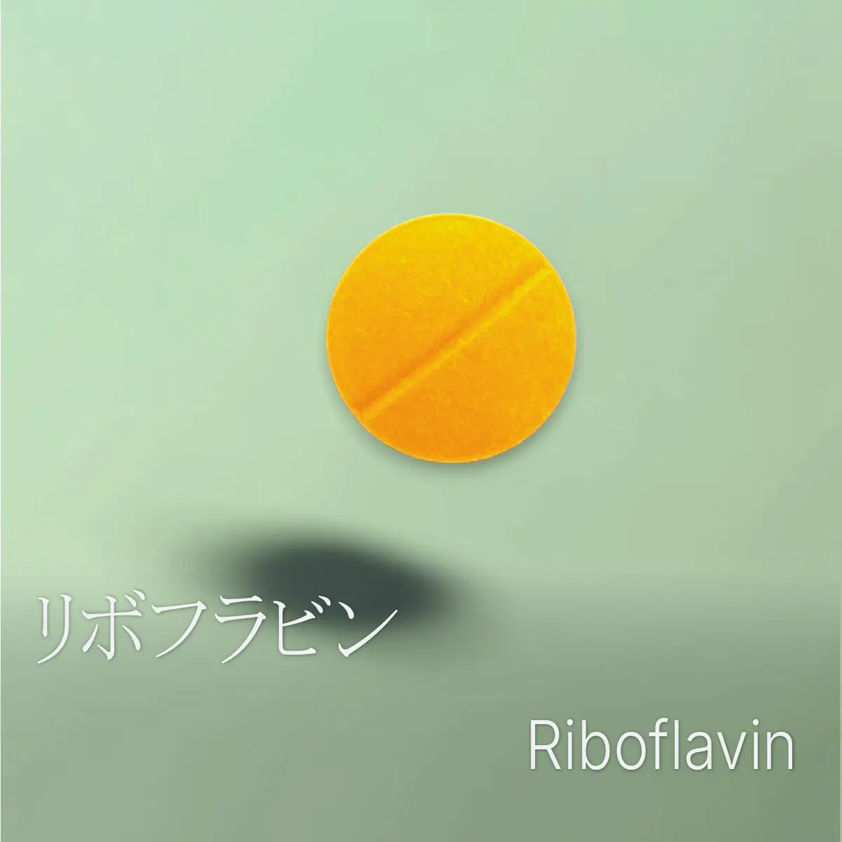 リボフラビン（ビタミンB2）